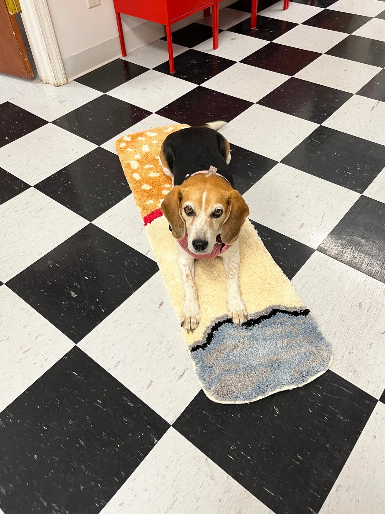 Ciggie Break Rug PRE ORDER