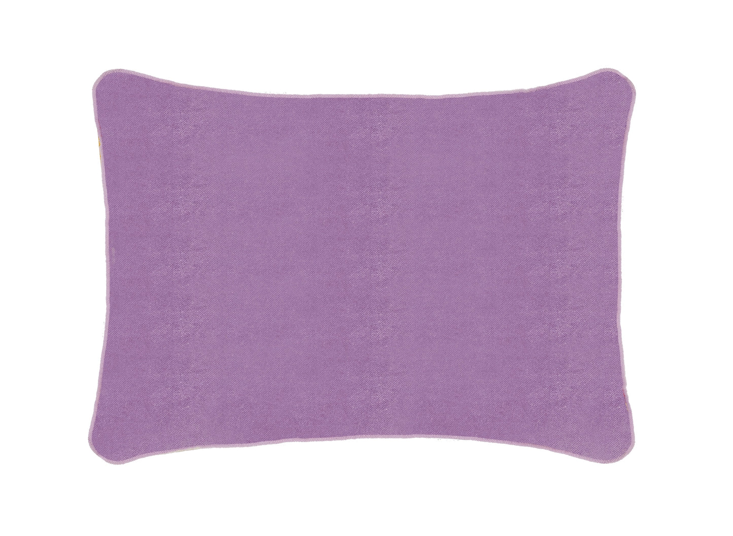 Not For Everyone Cushion