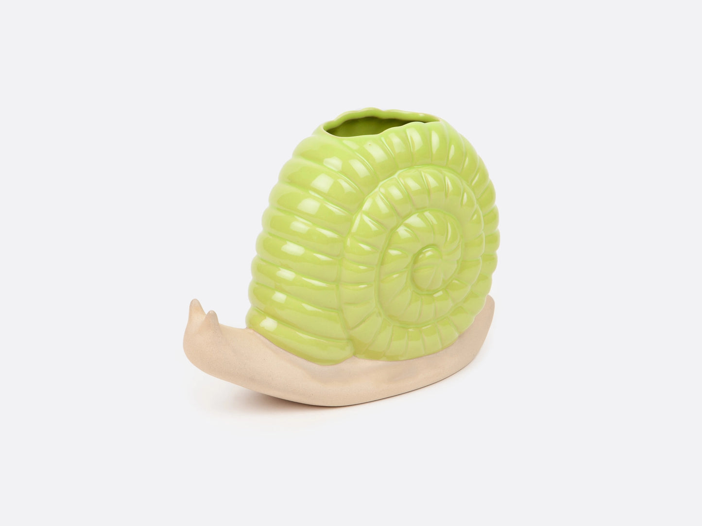 Snail Vase PRE ORDER