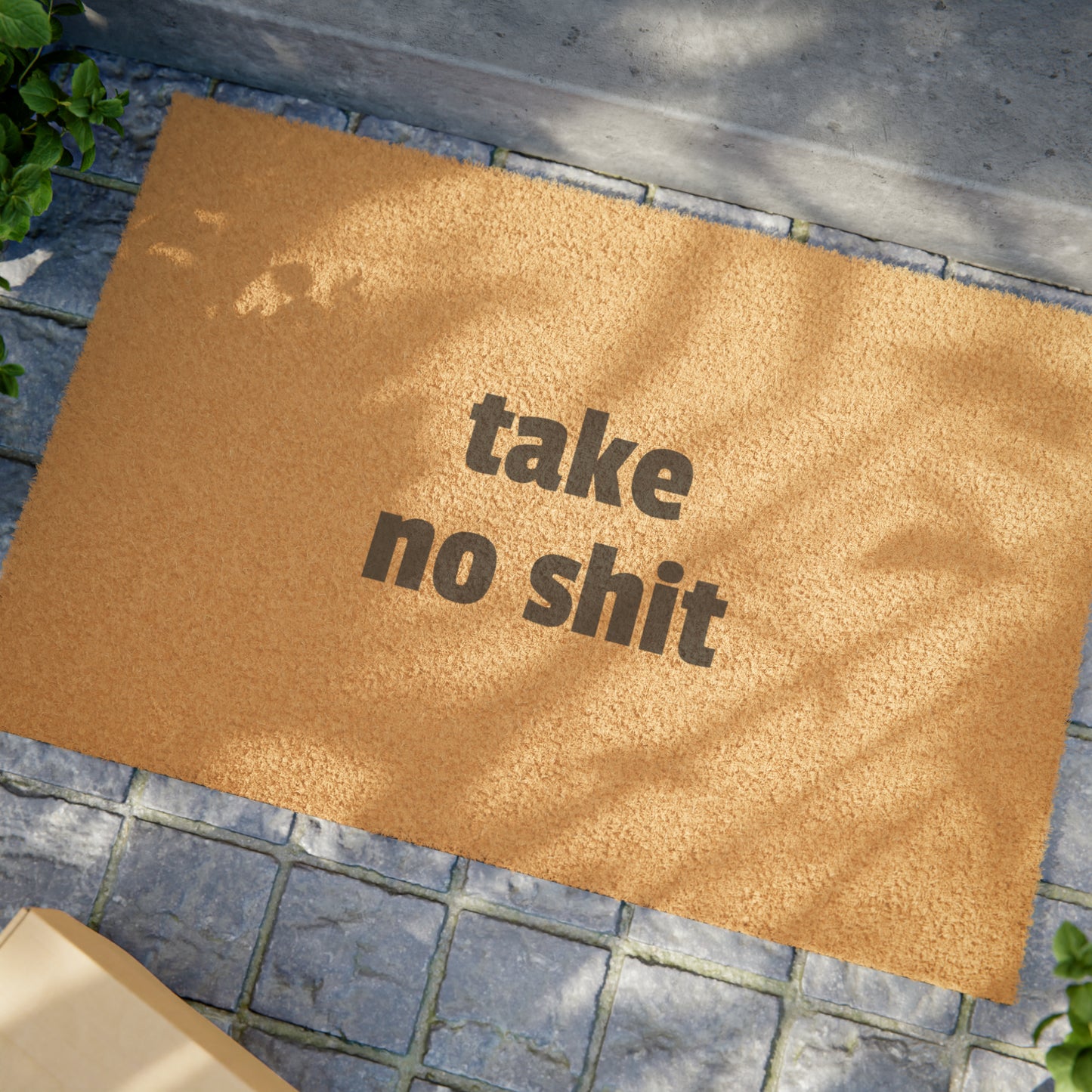 Take No Shit Doormat