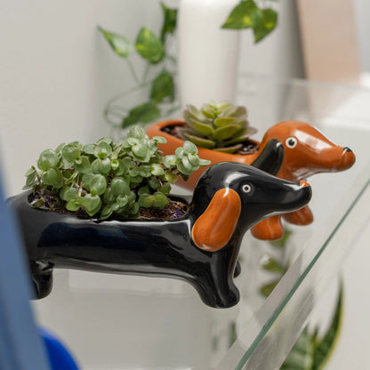 Black Dachshund Vase PRE ORDER